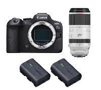 Appareil photo hybride Canon EOS R6 Mark II + RF 100-500mm f/4.5-7.1 L IS USM + 2 Canon LP-E6NH + Ebook 20 astuces pour des images qui claquent