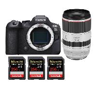 Appareil photo hybride Canon EOS R6 Mark II + RF 70-200mm f/2.8 L IS USM + 3 SanDisk 256GB Extreme PRO UHS-II + Ebook 20 astuces pour des images qui claquent