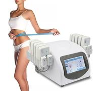 Appareil professionnel de micro-aiguilletage fractionné de lifting du visage à micro-aiguilles pour raffermir la peau et affiner le corps avec 10 planches et 4 petits coussinets pour la pert