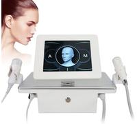 Appareil professionnel pour le traitement des rides, lifting du visage, raffermissement de la peau par micro-aiguilles, élimination des vergetures par radiofréquence, rajeunissement avec 2 p