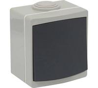 Va et vient ip55 perle - 03210