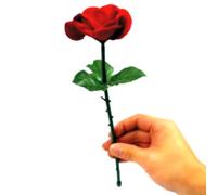 Apparition d'une rose avec vidéo explicative pour une compréhension facile des tours de magie à collectionner