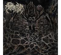 Apparition - Feel