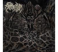 Apparition - Feel