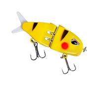 Appât de dans, appâts de basse de - Anarsa de natation salée réaliste,Trets d"équipement de portable pour, salé, poisson dans une poêle