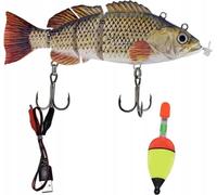 Appât Vivant Électrique Pêche Brochet Usb