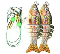 Appâts de Pêche,2 Pièces Leurre Segmenté pour Truite d'eau Douce | Ensemble De Leurres De Pêche,pour la pêche du Sandre, de la Truite, du Saumon, Poisson-Chat, en Eau salée et en Eau