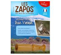 Appeau - Oiseau - Buse variable - Chant oiseau - Bois