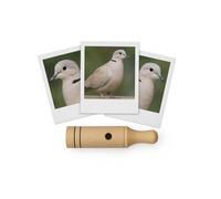 Appeau - Oiseau - Tourterelle - Chant oiseau - Bois - 11cm