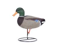 Appelant colvert mâle Cou Droit sur Pied en Acier