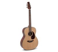 Applause Guitare acoustique Wood Classics AAO96-4 Modèle Orchestra Naturel