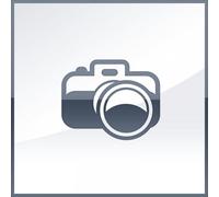 Apple AirPods Max Casque Sans fil Arceau Appels/Musique Bluetooth Bleu