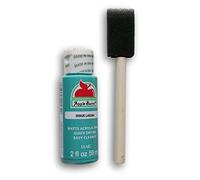 Apple Barrel Acrylic Paint Set - Laguna with Foam Starter Brush by Apple Barrel