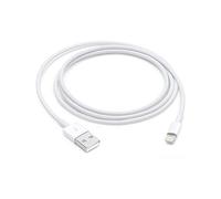 Apple - Câble Lightning - Lightning mâle pour USB mâle - 1 m