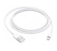 Apple Câble Lightning - Lightning mâle pour USB mâle - 1 m