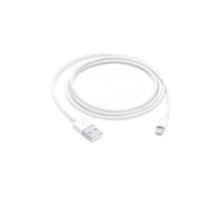 Apple - Câble Lightning - Lightning mâle pour USB mâle - 1 m