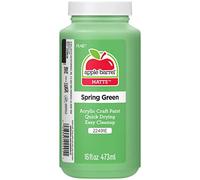 Apple Corps Peinture acrylique en couleurs assorties 16 oz Spring Green