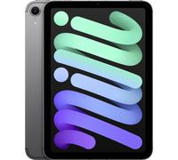 Apple iPad Mini 8,3'' 256 Go Gris sidéral 5G 7ème génération 2024