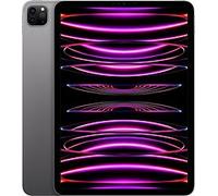 Apple iPad Pro 11 2 To [Wi-Fi, modèle 2022] gris sidéral Reconditionné
