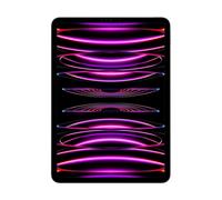 Apple iPad Pro 11" 2022 512 Go WiFi Gris Sidéral