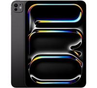 Apple iPad Pro 11 (27,94cm) 5. Generation Wi-Fi 2 TB Nanotexturglas Space Schwarz