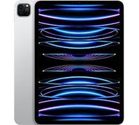 Apple iPad Pro 11 512 Go [Wi-Fi, modèle 2022] argent Reconditionné Bon état