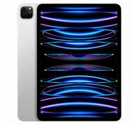 Apple iPad Pro 11" Wi-Fi 2022 2To argent