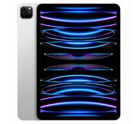 Apple iPad Pro 11" Wi-Fi 2022 512Go argent