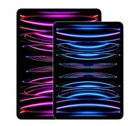 Apple iPad Pro 11" Wi-Fi + Cellular 2022 512Go gris sidéral