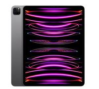 Apple iPad Pro 12,9" Wi-Fi 2022 512Go gris sidéral