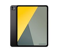 Apple iPad Pro 13" Wi-Fi + Cellular 2025 (M5) 512Go noir sidéral | neuf - dans son emballage d'origine | AN720165