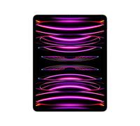 Apple iPad Pro 5G TD-LTE & FDD-LTE 128 Go 32,8 cm (12,9") Apple M 8 Go Wi-Fi 6E (802.11ax) iPadOS 16 Gris