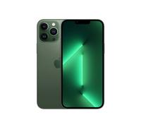 Apple iPhone 13 Pro Max 17 cm (6.7") Double SIM iOS 15 5G 128 Go Vert