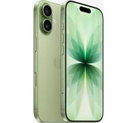 iPhone 17 (5G) 256 Go, Sauge