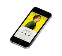 Apple iPhone SE 16 Go Gris | occasion