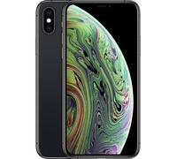 iPhone XS : Gris / 256 GB