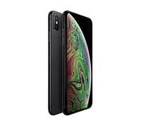 Apple Iphone Xs Max 512Go Gris Sidéral (Reconditionné)
