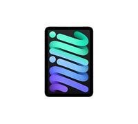 Apple Mini 8,3" 256 Go Gris Sidéral 5G 7 ème génération 2024