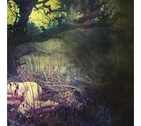 Apple Never Falls.. -Hq (Vinyl)