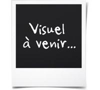 Apple Park Peluche Pirate Pig Tf003 G