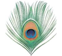 XTC Apple Venus - Volume 1 (Vinyl) 12" Album