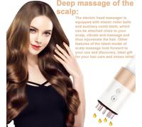 Applicateur Électrique 2 En 1 D'Huile Capillaire Et Cuir Chevelu - Brosse De Massage De La Tête - 655 Nm - Lumière Rouge - Brosse De Massage Et Applicateur D'Huile Capillaire - Flacon Applicateur Pou