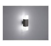 Applique d'Extérieur Double Led Light Hudson Anthracite Trio Lighting Transparent G