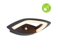 Applique D'extérieur Led Akena Détecteur De Mouvement Crépusculaire (Ir) Favorable Aux Insectes Ip44 243x254mm 2200k 10,8w 800lm 230v Anthracite Aluminium