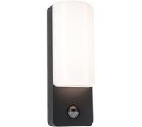 Paulmann Applique extérieure LED Bonnie – Détecteur de mouvement, IP44, 3000K, 8,5W, Anthracite