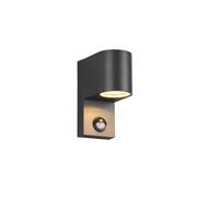 Applique d'extérieur - Trio - Roya - Ronde moderne - Anthracite - IP44 avec détecteur de mouvement