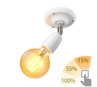 Applique ELEPO porcelaine acier blanc brillant incl. E27 LED G95 doré [EEK: E]