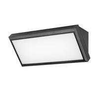 Applique, extérieur Rabalux LED 12W, 1000 lm, Rapla [EEK: G]