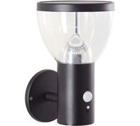 Applique extérieure - BRILLIANT - TULIP - LED et solaire - Détecteur de mouvement - Acier inoxydable et plastique - 4 W - Noir