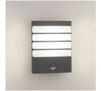 Applique extérieure détecteur Raccoon IR LED IP44 H16 cm - Anthracite Anthracite G